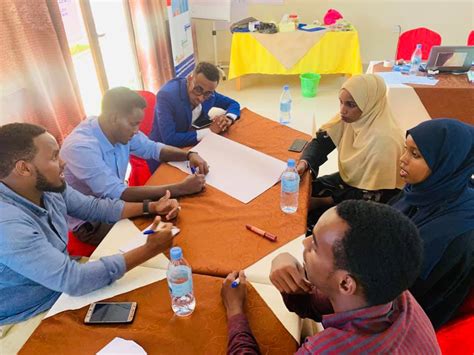 Tadamon In Somalia Healthcare Workers Women And Msmes Spark