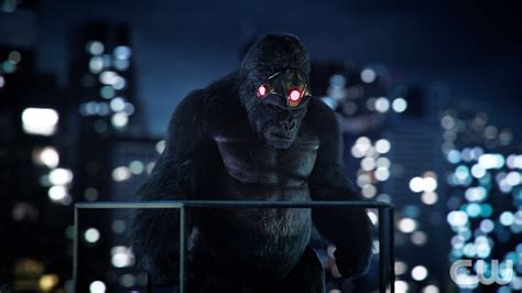 The Flash Photos King Shark Vs Gorilla Grodd