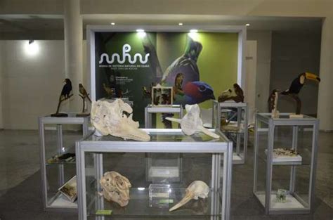 Museu de História Nacional do Ceará realiza exposição na Reitoria da