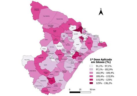 Percentual Das 1ª Doses Aplicadas Na População Idosa Por Município