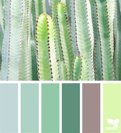 Succulent Hues In Seeds Color Palette Design Seeds Color