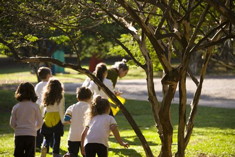 No Parque Ibirapuera Mam S O Paulo Tem Atividades Gratuitas Que Juntam