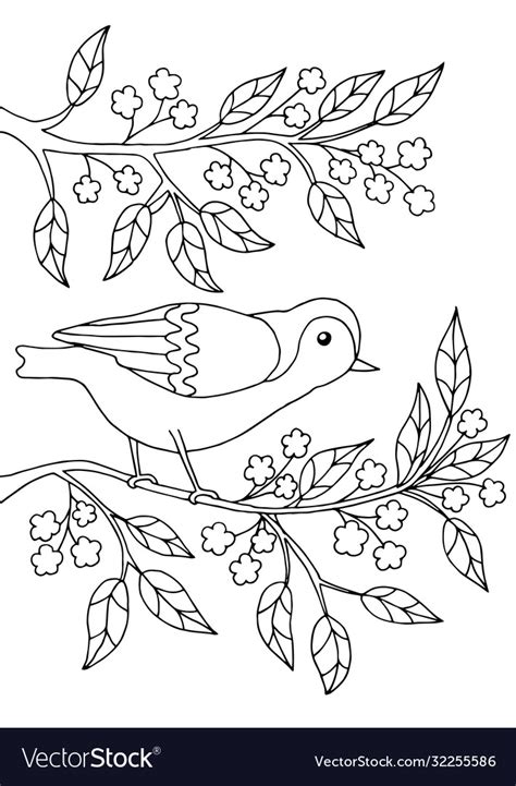 Bird Sitting On A Branch Coloring Page Royalty Free Vector