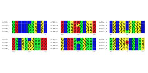 Multiple Sequence Alignments Highlighting The Six Synonymous