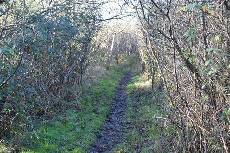 Footpath Stepping Down N Chadwick Cc By Sa 2 0 Geograph Britain