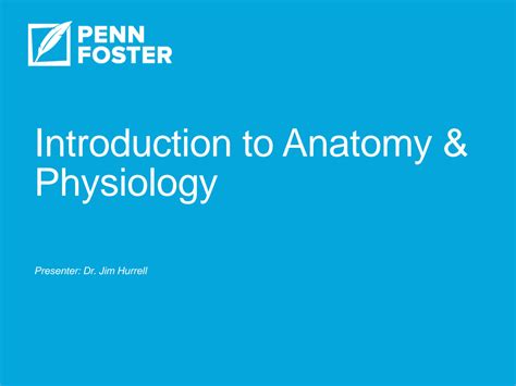 Solution Chapter 001 Introduction To Anatomy Physiology Studypool