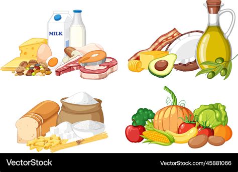 Main Food Groups Macronutrients Royalty Free Vector Image