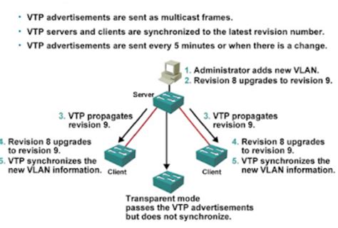 All About Vtp Virtual Trunking Protocol Vtp Vtp On Cisco Devices