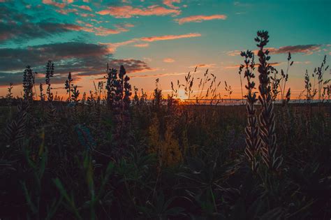 Golden Hour Photos Download The Best Free Golden Hour Stock Photos