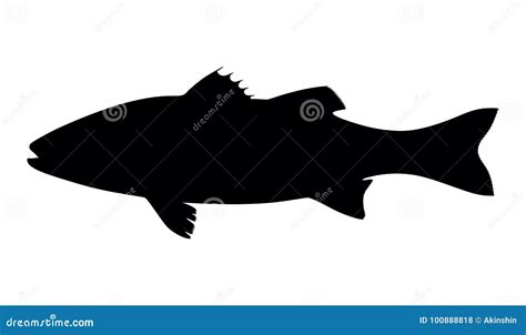 Silhouette fish seabass stock vector. Illustration of protein - 100888818