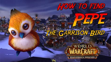 World Of Warcraft How To Find Pepe Horde Garrisons Youtube