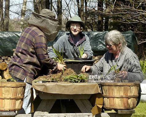 19 Lily Cyr Foton Och Högupplösta Bilder Getty Images