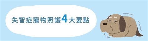 如何照護失智症寵物？獸醫專欄培特美petmate 毛家人全能照護