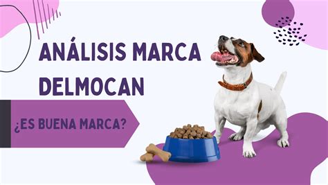 An Lisis De Marca Delmocan Piensos Para Perros Hablando Con Perros