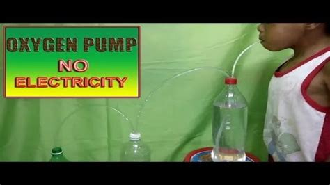 How To Make An Aquarium Oxygen Pump A Step By Step Guide