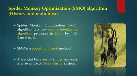 Spider Monkey Optimization Algorithm Ppt