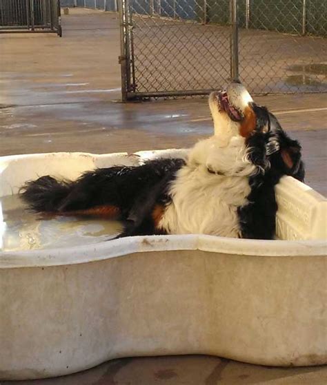 24 Signs It S Too Damn Hot Outside GALLERY