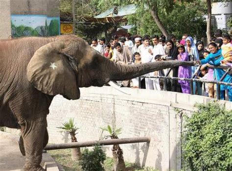 Lahore Zoo 2019 What To Know Before You Go With Photos Tripadvisor