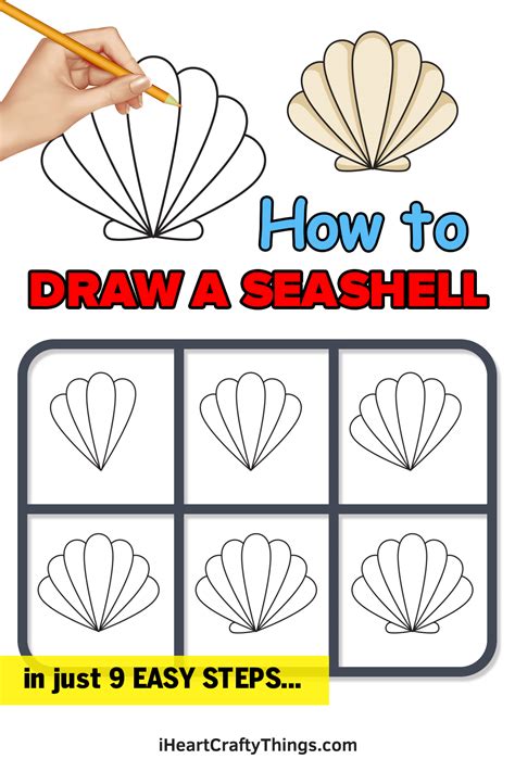 Seashell Drawing How To Draw A Seashell Step By Step