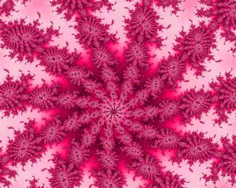 Pink Fractal Wallpapers 4k Hd Pink Fractal Backgrounds On Wallpaperbat