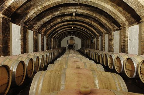 Castello Sonnino Winery In Tuscany Winetourism