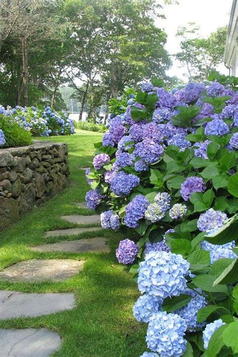 17 Dreamy Hydrangea Gardens That Are Giving Us Major Inspiration