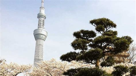 Tokyo Skytree Accessibility Information - Accessible Japan