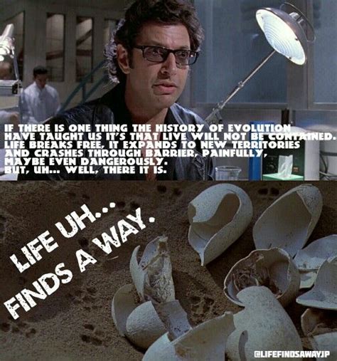 Ian Malcolm Life Uhfinds A Way Jurassic Park World Jurassic World Fallen Kingdom Jurrasic