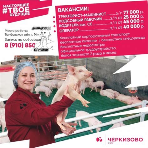 Черкизово, колбаса из мяса?