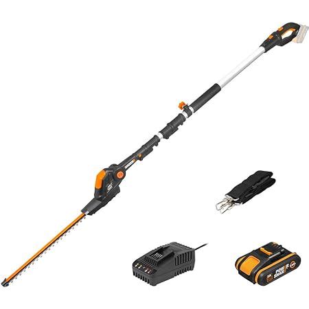 Dewalt Taille Haies Sur Perche Brushless Xr V Ah Li Ion