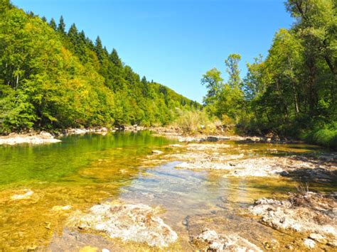 Best Risnjak National Park Stock Photos, Pictures & Royalty-Free Images ...