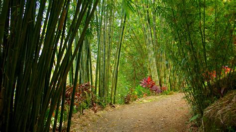 Ferienwohnung Garden of Eden Arboretum Häuser und mehr Vrbo