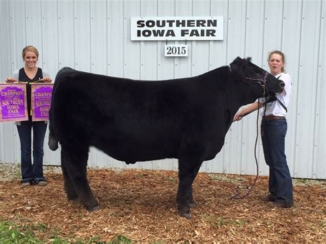 Rcc Blog Southern Iowa Fair Grand Champion