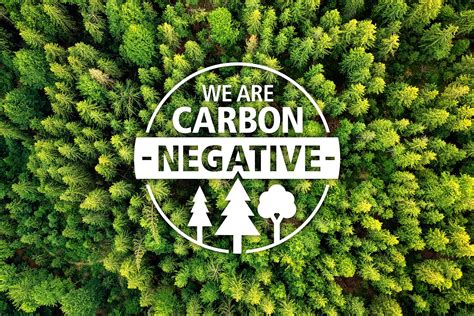 Norbord Carbon Negative Campaign Impact Design Marketing