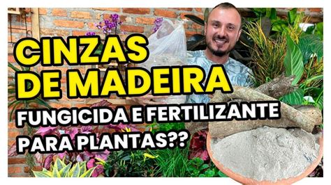 Cinzas De Madeira Aprenda Como Utilizar Esse Fungicida E Fertilizante