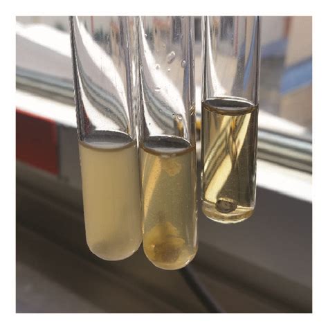 Microbiology TSB With NaCl Positive And Negative Results 58 OFF