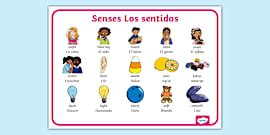 A1 Tarjetas de vocabulario Ropa en inglés Twinkl