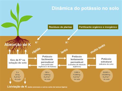 K S Minerals And Agriculture Gmbh Potássio