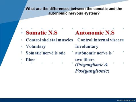 Autonomic Nervous System Cholinergic Agonists Cholinomimetics Ph D