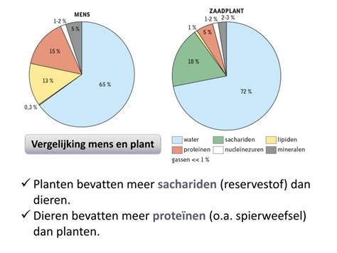 Ppt Deel 1 De Cel Basiseenheid Van Leven Powerpoint Presentation