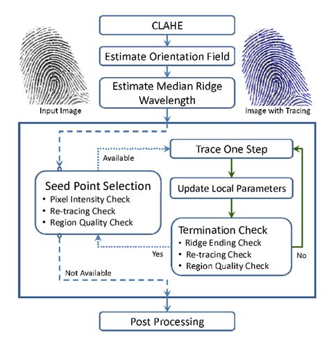 Figure From Fingerprint Feature Extraction From Gray Scale Images By