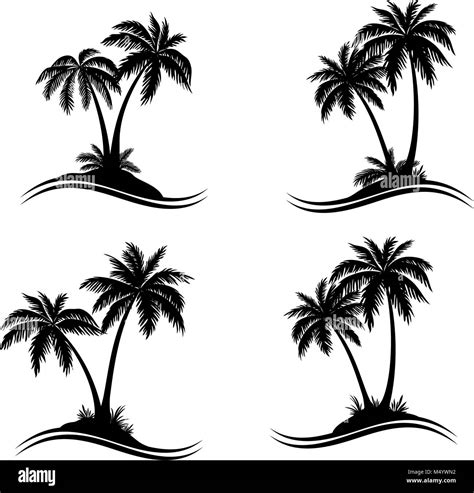 Palm Tree Egypt Black And White Stock Photos And Images Alamy