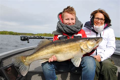 Fishing-in-Sweden.com - Zander, Pike, Perch, Salmon & Char Fishing in Sweden