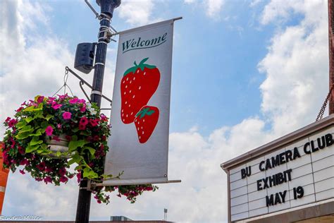 2024 Strawberry Festival 5k Buckhannon Wv Maiga Mandie