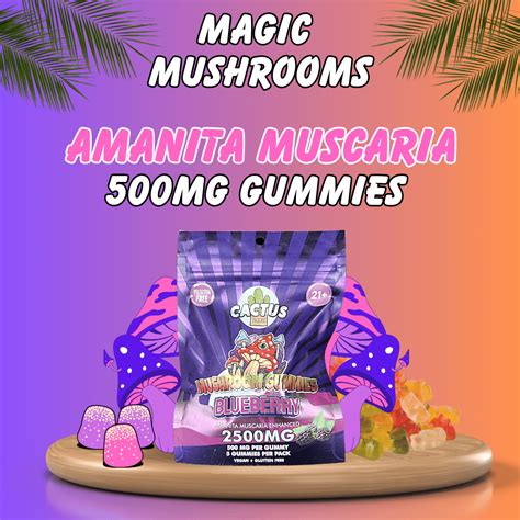 Cactus Labs Amanita Extract Gummies The Daily Dose