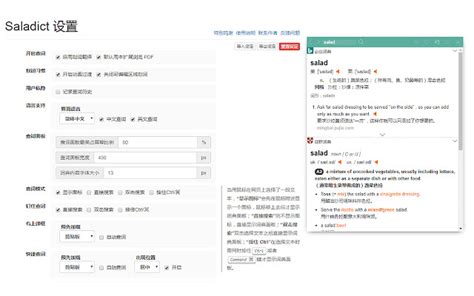 沙拉查词 聚合词典划词翻译chrome插件下载最新浏览器扩展crx离线安装包 插件小屋