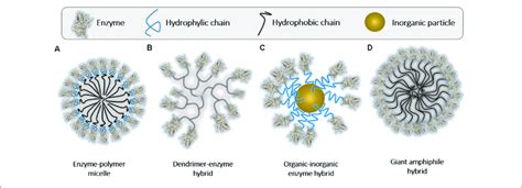 Assembled Enzyme Polymer Supramolecular Hybrids In Which The Enzyme