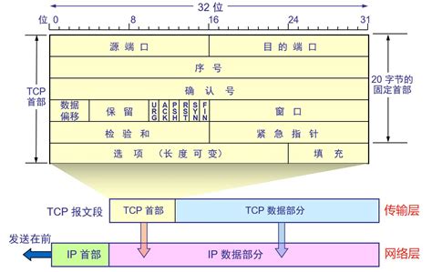 TCP和UDP的区别 CSDN博客