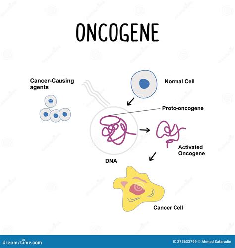 Oncogene A Mutated Gene That Can Promote The Growth And Division Of