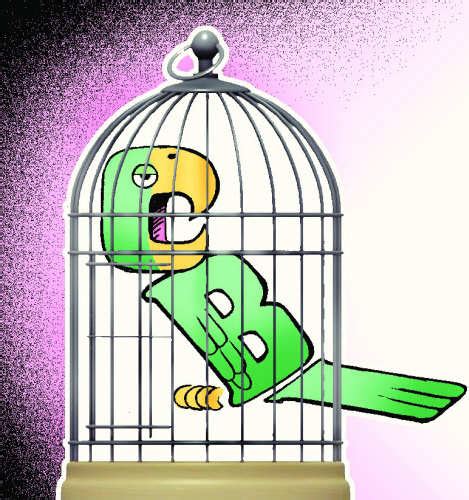 Release The Caged Parrot